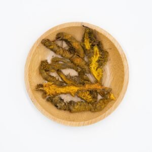 Rhizoma Coptidis — 黄连